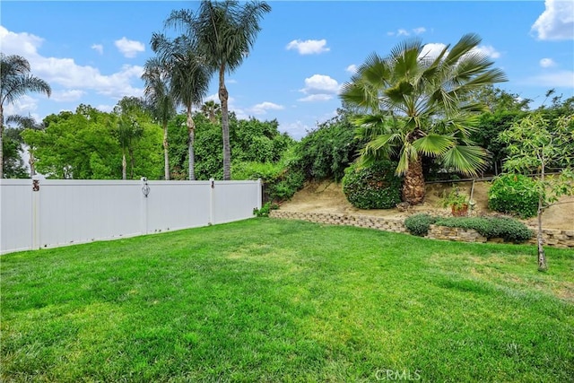 42065 Kaffirboom Ct, Temecula, CA 92591 - view of yard