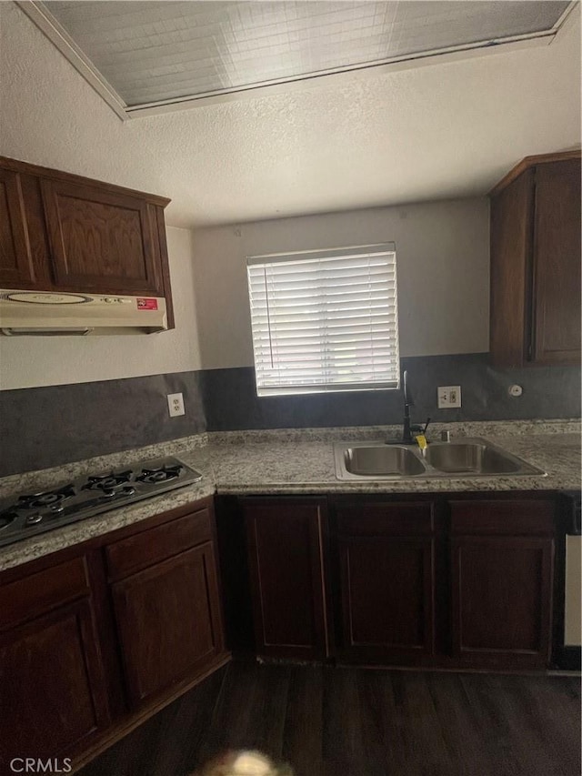 kitchen with dark wood-style flooring, dark brown cabinets, a sink, gas stovetop, and under cabinet range hood