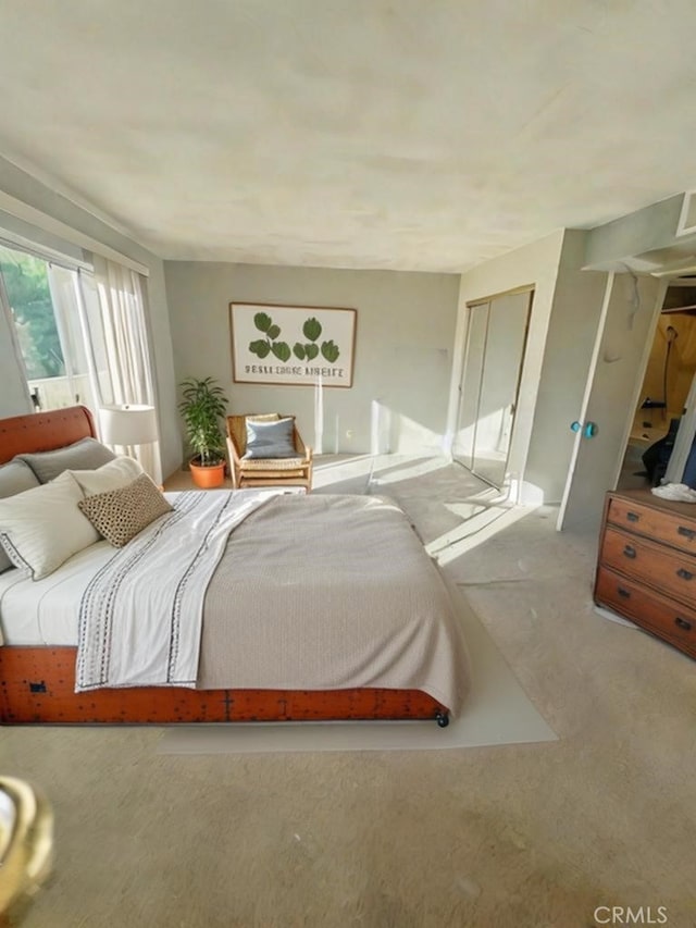 bedroom with carpet floors and a closet