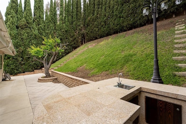 6192 Sierra Siena Rd, Irvine, CA 92603 - view of yard featuring a sink and a patio