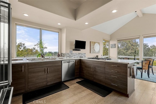 20 Delphinus Unit 20, Irvine, CA 92603 - kitchen with light wood-style floors, a sink, appliances with stainless steel finishes, and light countertops