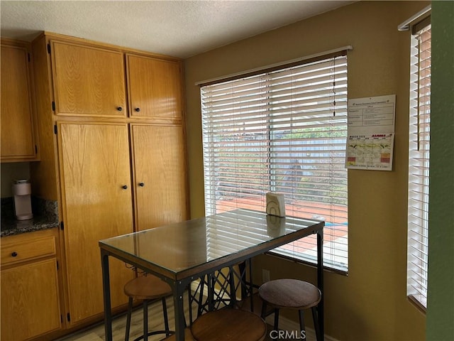 dining area featuring plenty of natural light and a textured ceiling