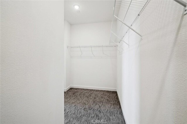 3860 S Oasis Paseo Unit 7, Ontario, CA 91761 - spacious closet with carpet