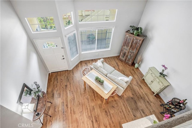entrance foyer featuring baseboards, a high ceiling, and wood finished floors