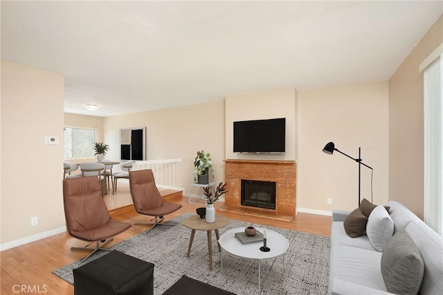 living area featuring baseboards, wood finished floors, and a fireplace