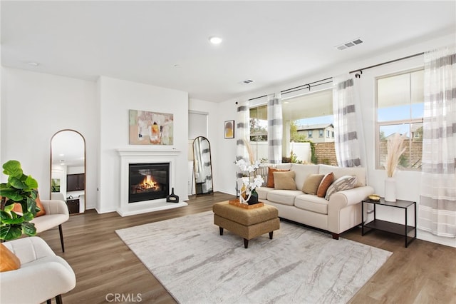 32189 Dymondia Way, Temecula, CA 92591 - living room with wood finished floors, a glass covered fireplace, recessed lighting, and arched walkways