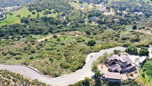 28052 Modjeska Grade Rd, Silverado, CA 92676