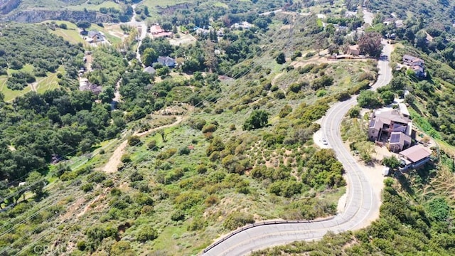 28052 Modjeska Grade Rd, Silverado, CA 92676