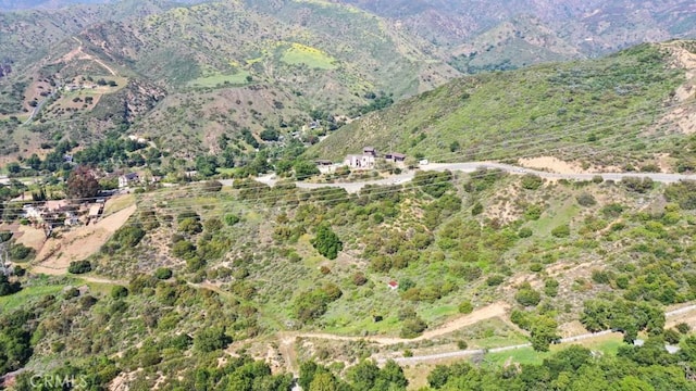 28052 Modjeska Grade Rd, Silverado, CA 92676