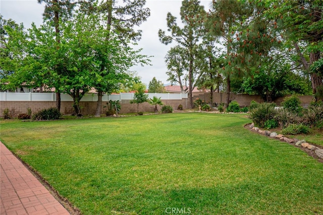 2136 Forbes Ave, Claremont, CA 91711 - view of yard featuring a fenced backyard