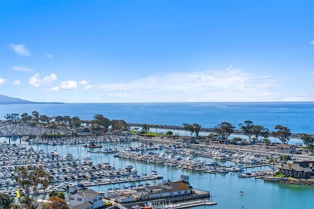 24242 Santa Clara Ave Unit 26, Dana Point, CA 92629 - view of water feature