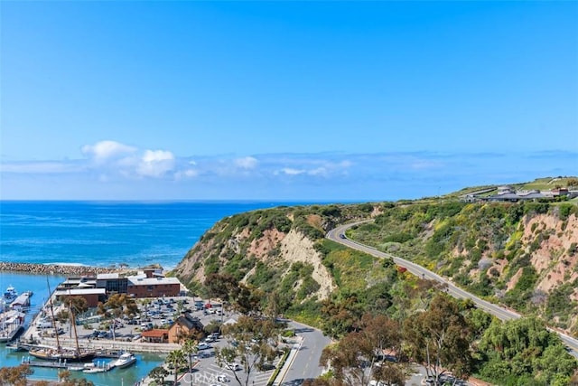 24242 Santa Clara Ave Unit 26, Dana Point, CA 92629 - drone / aerial view with a water view