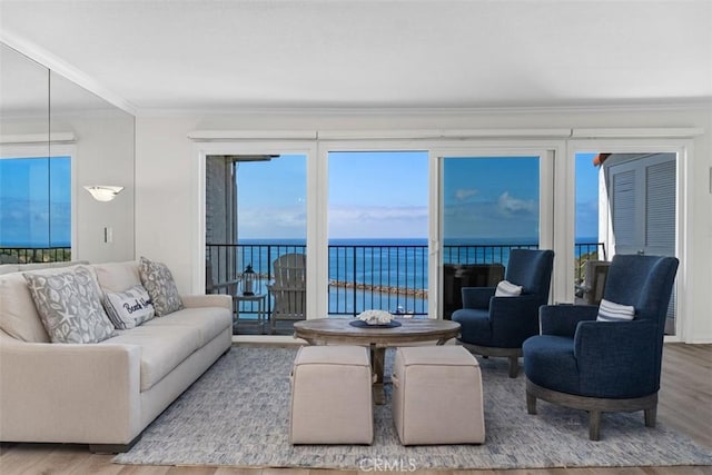 24242 Santa Clara Ave Unit 26, Dana Point, CA 92629 - living area featuring plenty of natural light, ornamental molding, a water view, and wood finished floors