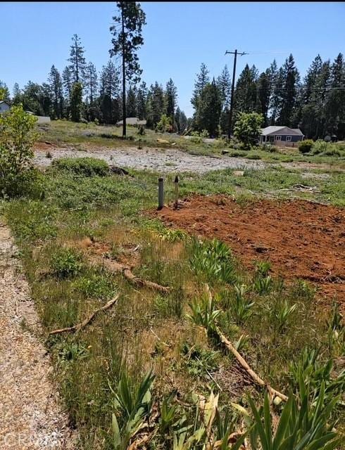 14146 Creston Rd, Magalia, CA 95954