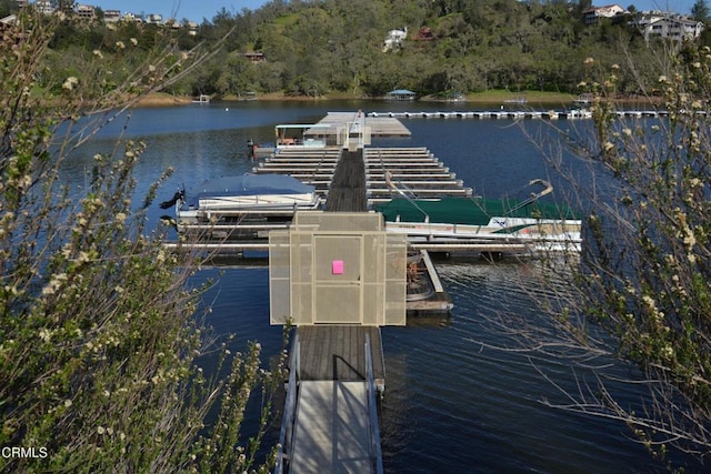 dock area featuring a water view