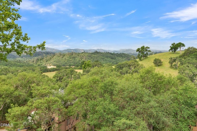 mountain view with a forest view