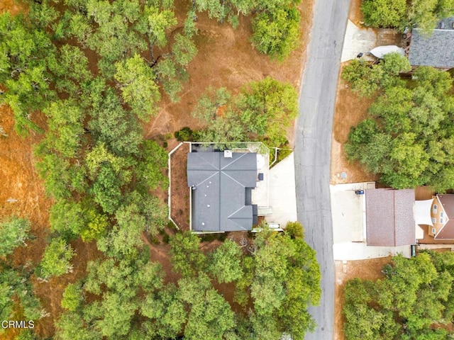 bird's eye view