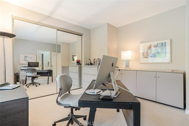 office featuring light colored carpet