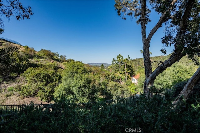 view of local wilderness with a forest view