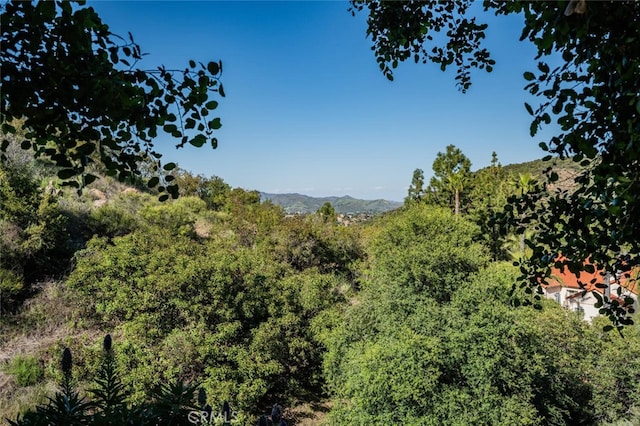 view of mountain feature with a view of trees