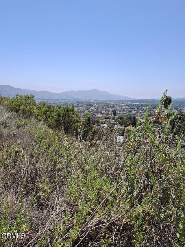 0 Fillmore St, Fillmore, CA 93015 - photo 4