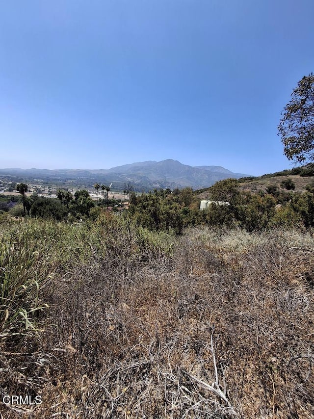 0 Fillmore St, Fillmore, CA 93015 - photo 7
