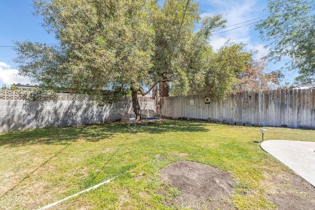 view of yard featuring a fenced backyard