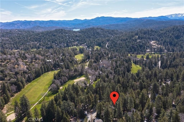 212 N Fairway Dr, Lake Arrowhead, CA 92352 - photo 63
