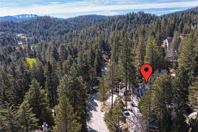 212 N Fairway Dr, Lake Arrowhead, CA 92352 - photo 64