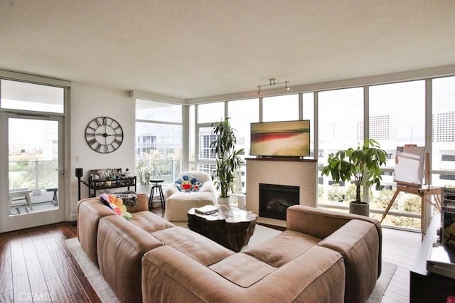 living area featuring expansive windows, wood finished floors, a healthy amount of sunlight, and a fireplace