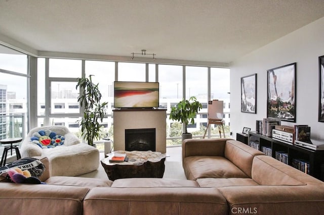 living room featuring a fireplace