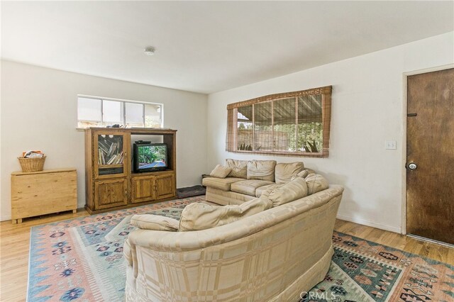 living room with baseboards and wood finished floors