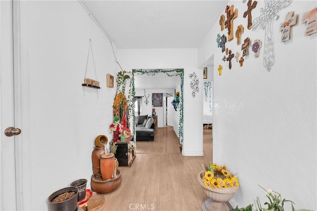 corridor with wood finished floors