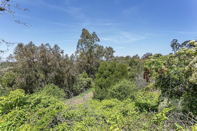 view of nature featuring a view of trees