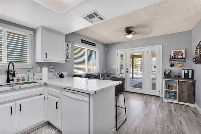 kitchen featuring visible vents, ceiling fan, dishwasher, and a wealth of natural light
