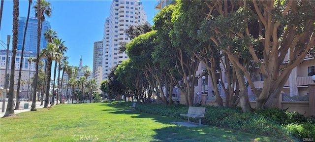 view of property's community with a yard