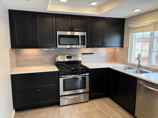 kitchen with a tray ceiling, a sink, dark cabinets, ornamental molding, and stainless steel appliances