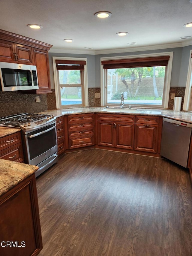 kitchen featuring ornamental molding, dark wood-type flooring, light stone counters, a sink, and stainless steel appliances