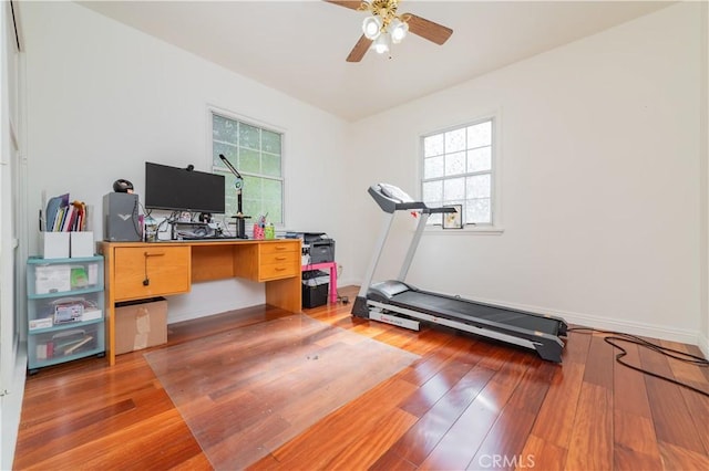 office area featuring light wood-type flooring, baseboards, ceiling fan, and a wealth of natural light