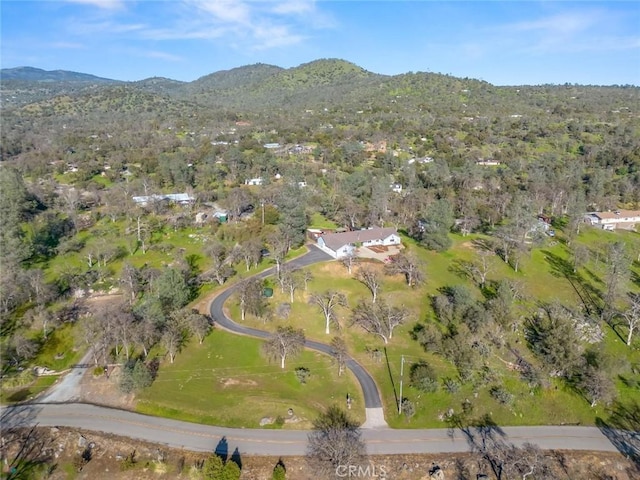 33269 River Knolls Rd, Coarsegold, CA 93614 - photo 40