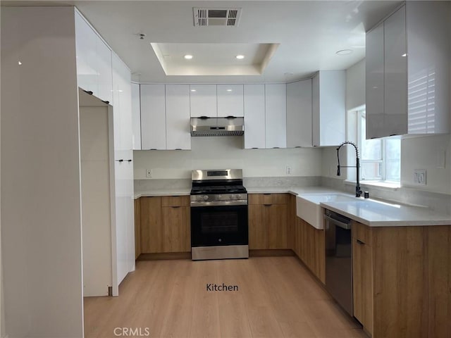 kitchen featuring modern cabinets, a raised ceiling, under cabinet range hood, light wood-style floors, and stainless steel appliances