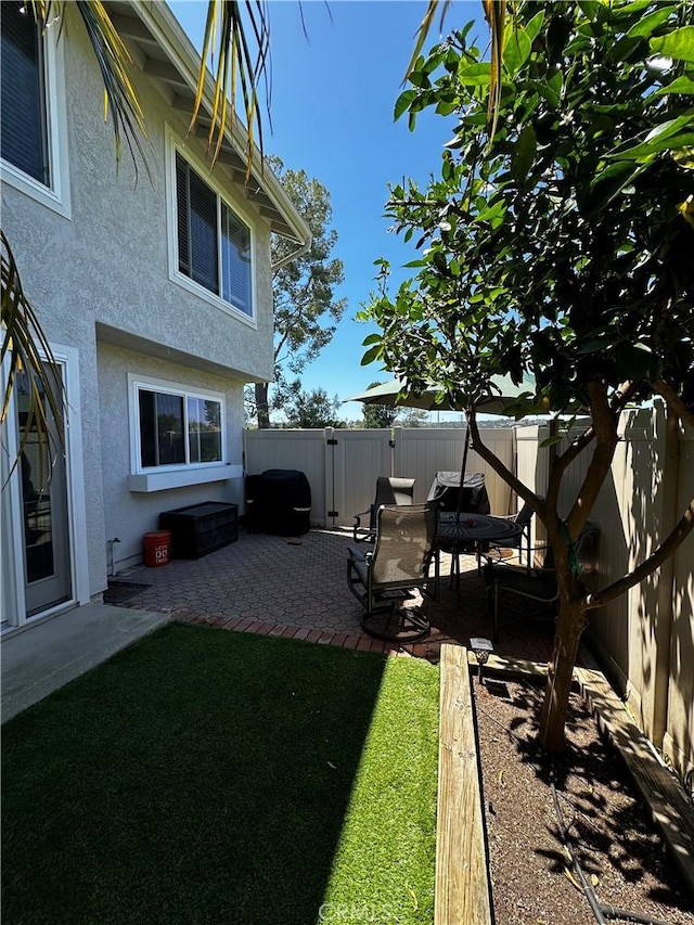 view of yard with a patio and a fenced backyard