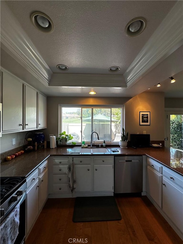 kitchen featuring crown molding, dark wood-style flooring, a tray ceiling, and dishwasher