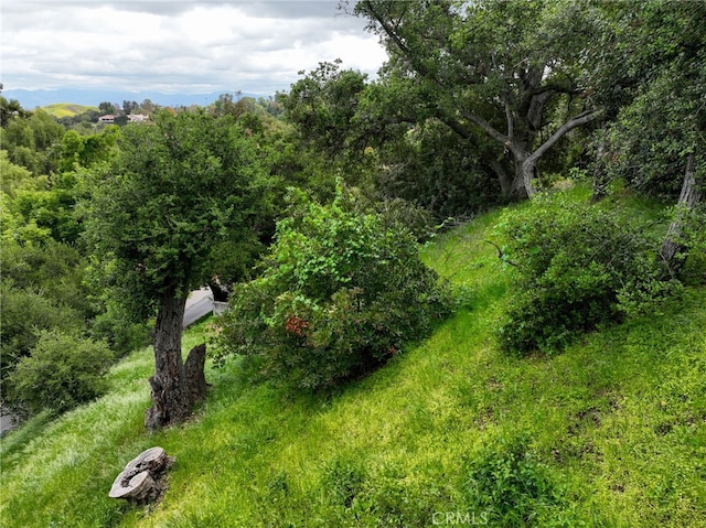 21460 Arcos Dr, Woodland Hills, CA 91364