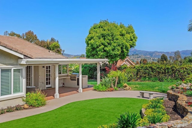 view of yard featuring a patio area, a mountain view, and exterior kitchen