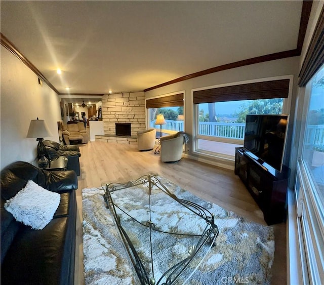 living room featuring crown molding, wood finished floors, and a wealth of natural light