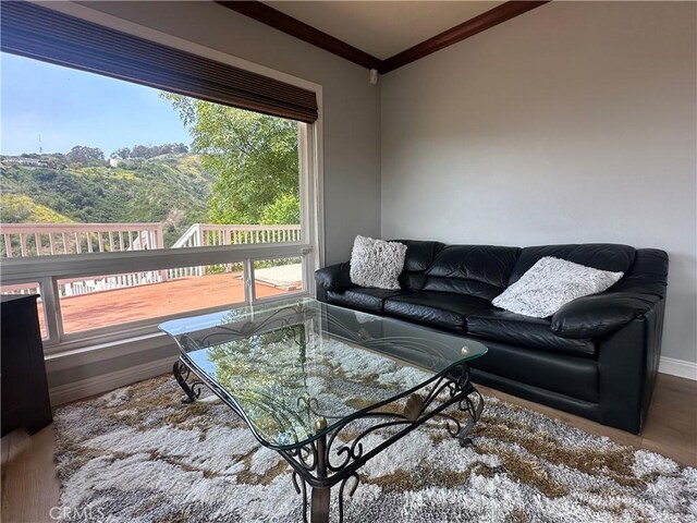 2261 Papaya Dr, La Habra Heights, CA 90631 - photo 16