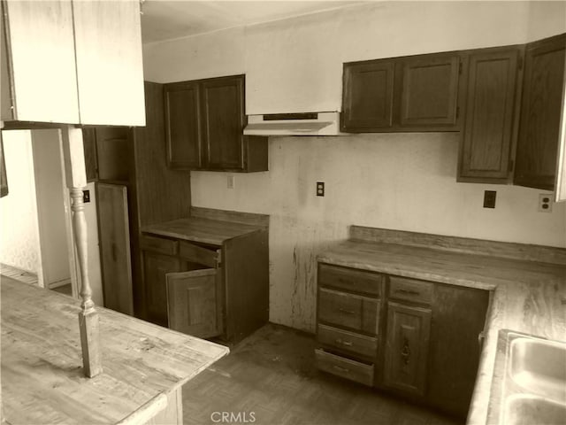 kitchen with under cabinet range hood, dark brown cabinetry, a sink, and light countertops