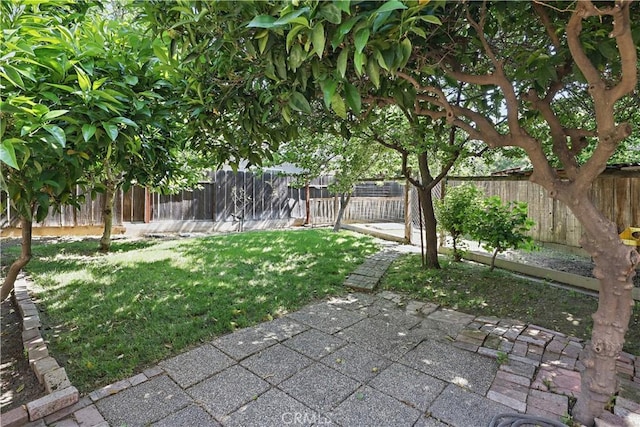 view of yard with a patio and a fenced backyard