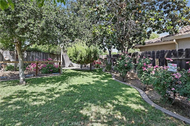 3571 White Wolf Ct, Merced, CA 95340 - view of yard